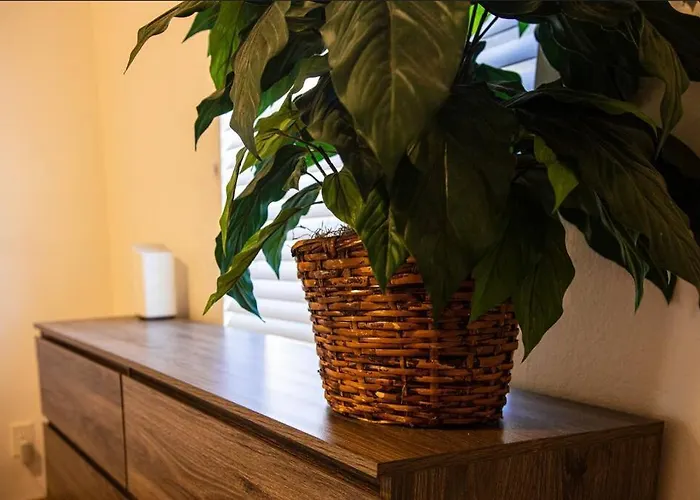 Apartament Cozy Townhouse In Uptown! Phoenix